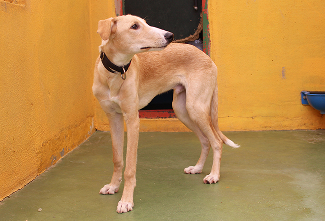 multimedia-foto47182-834-3