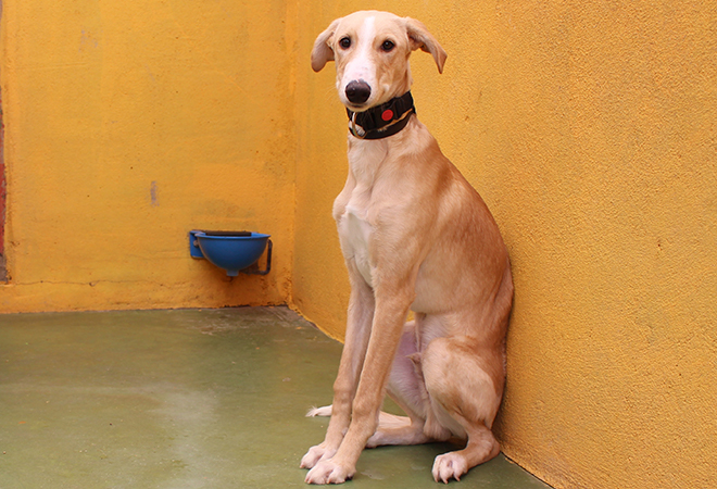 multimedia-foto47183-834-3