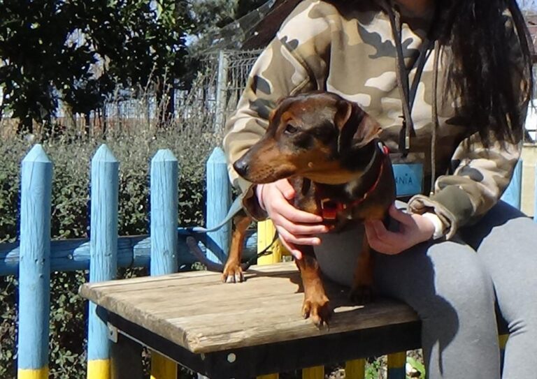 multimedia-foto47251-154-1