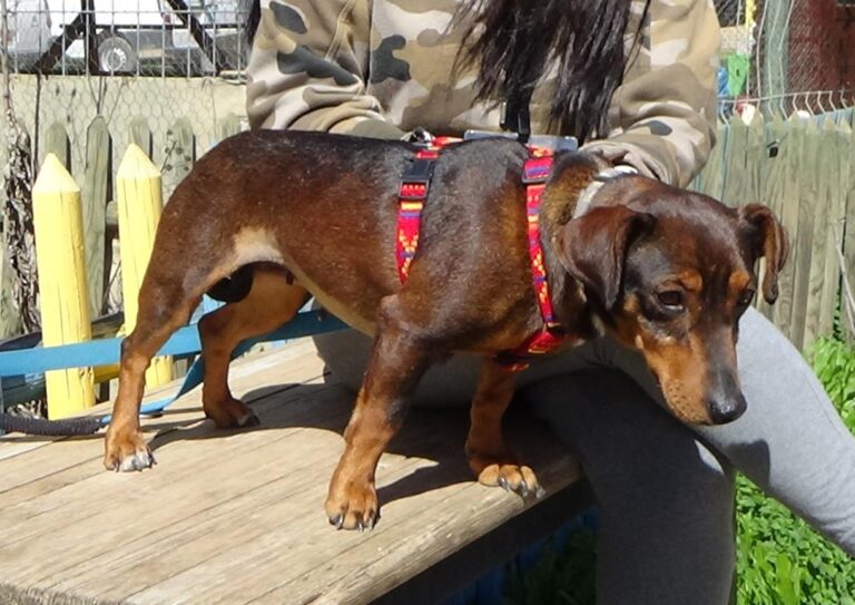 multimedia-foto47253-154-1