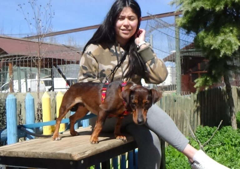 multimedia-foto47254-155-1