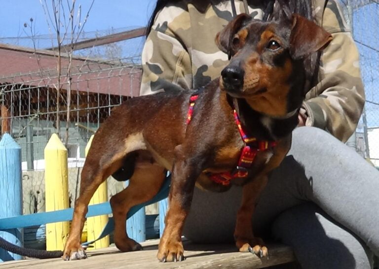 multimedia-foto47255-155-1