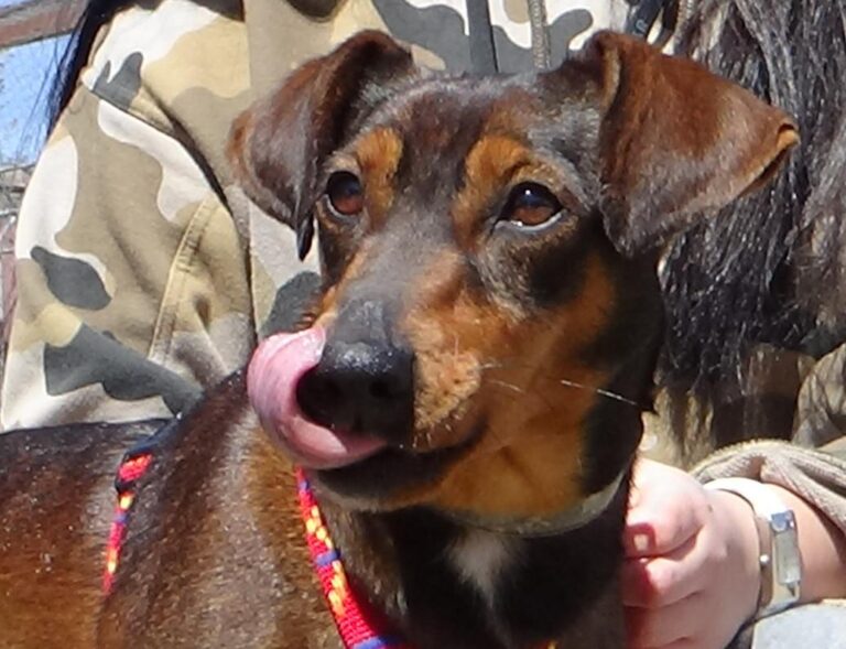 multimedia-foto47256-155-1