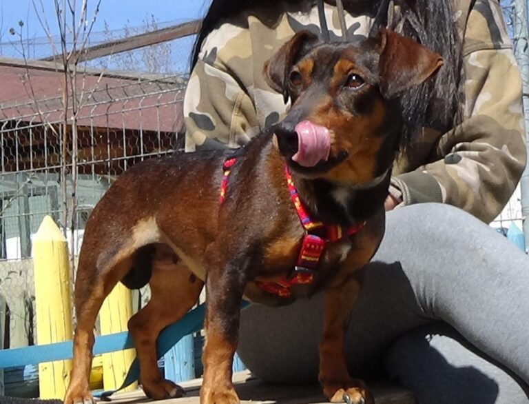 multimedia-foto47257-156-1