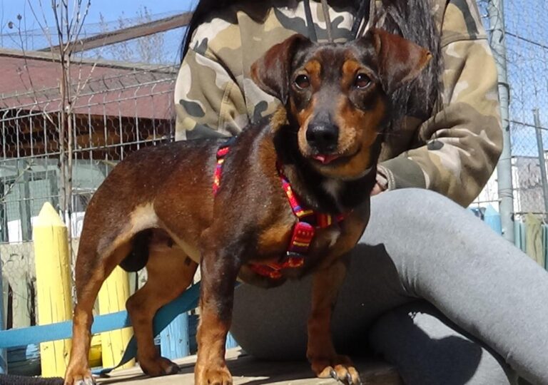 multimedia-foto47258-207-1