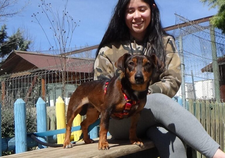 multimedia-foto47259-207-1