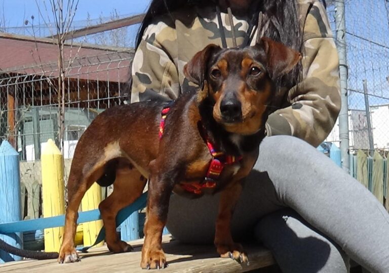 multimedia-foto47260-208-1