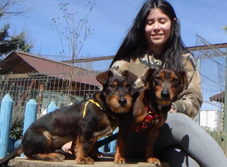 multimedia-foto47262-208-1