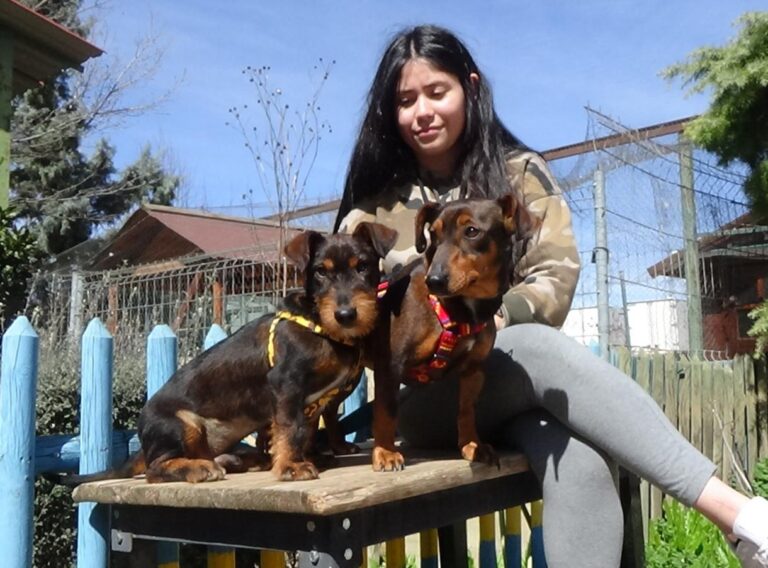 multimedia-foto47263-208-1