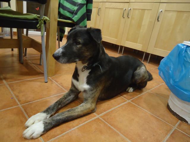 multimedia-foto47287-534-3