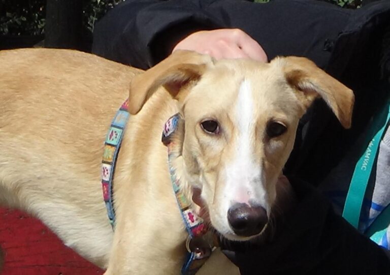 multimedia-foto47293-924-3