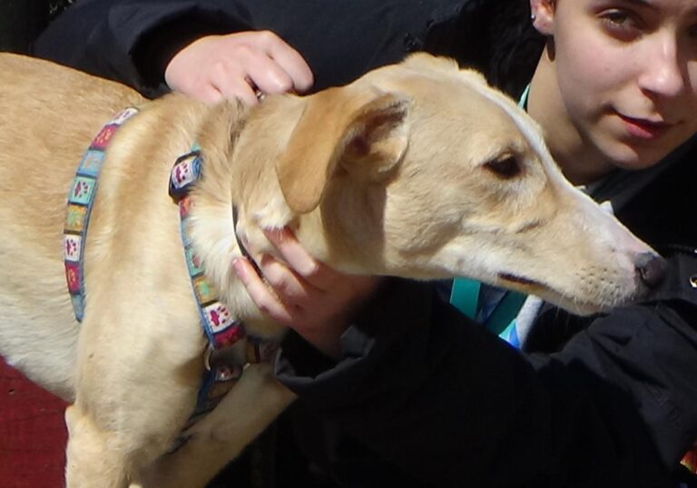 multimedia-foto47294-924-3