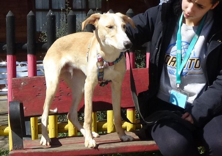 multimedia-foto47295-925-3