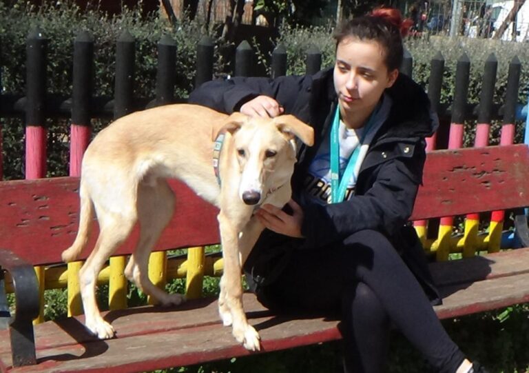 multimedia-foto47296-925-3