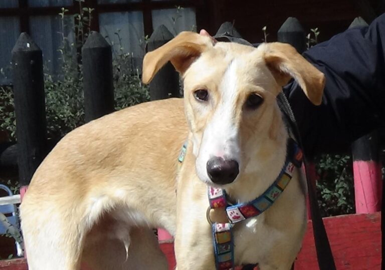 multimedia-foto47297-925-3