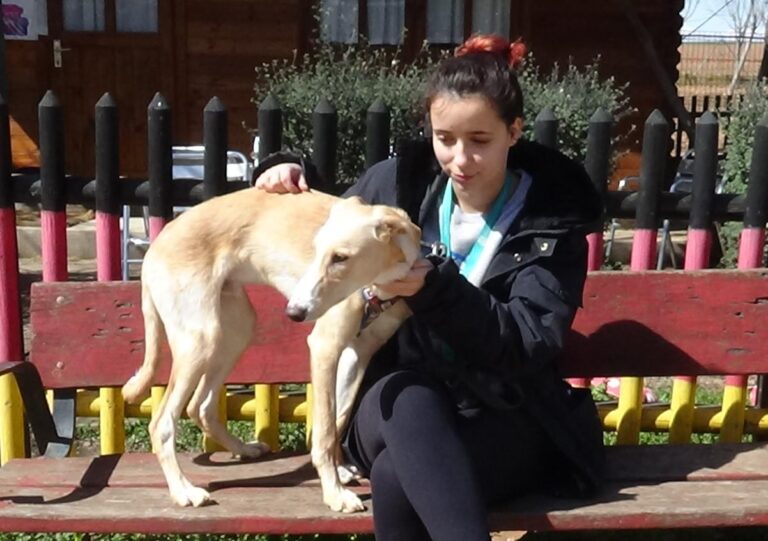 multimedia-foto47298-926-3