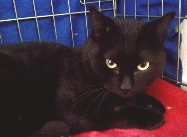 multimedia-foto47306-279-1