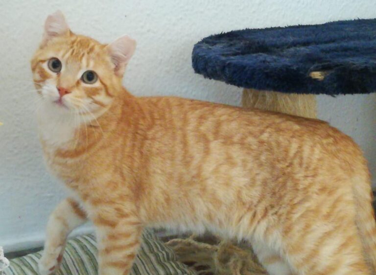 multimedia-foto47317-67-1