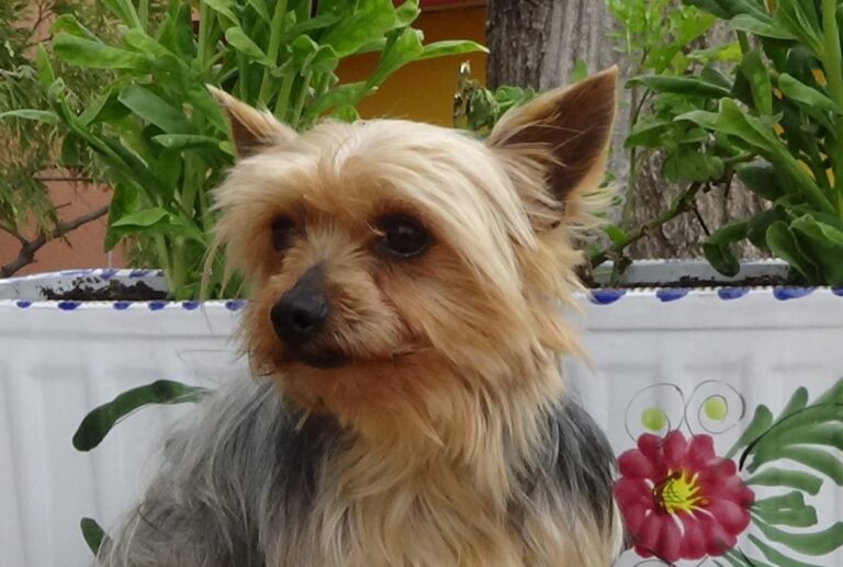 multimedia-foto47338-705-1