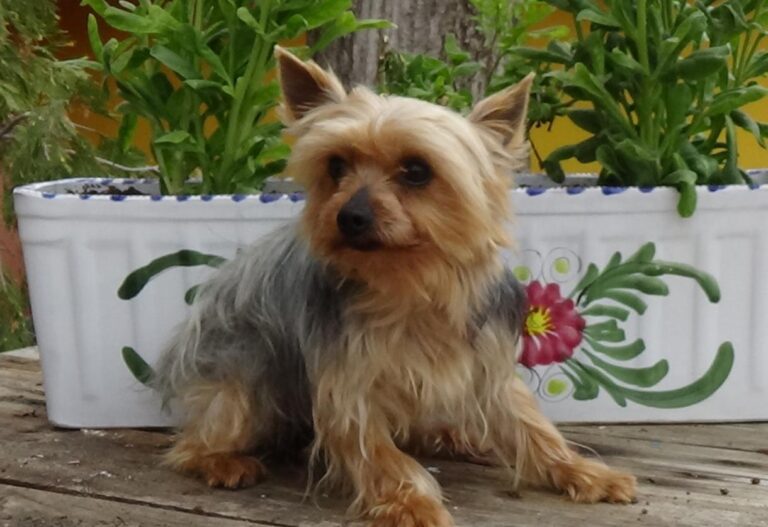 multimedia-foto47339-705-1