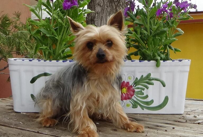 multimedia-foto47341-706-1