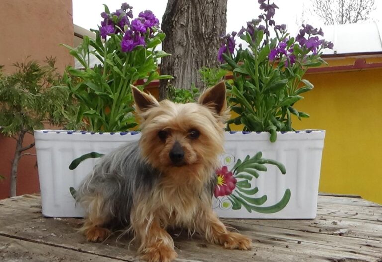 multimedia-foto47342-706-1