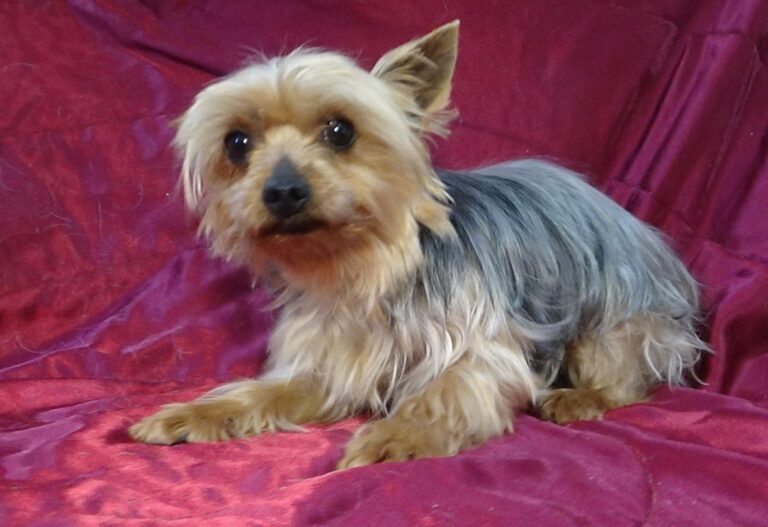 multimedia-foto47343-706-1