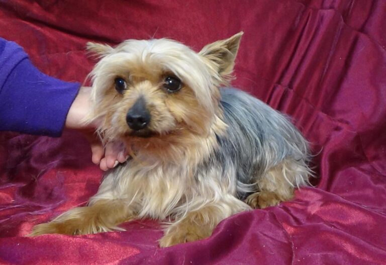 multimedia-foto47344-732-1