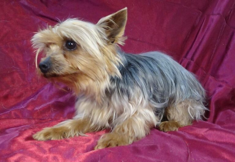 multimedia-foto47345-732-1