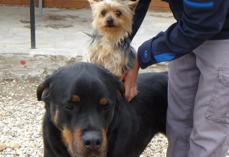 multimedia-foto47347-732-1