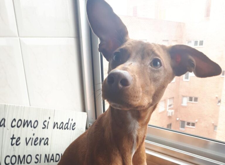 multimedia-foto47429-40-3