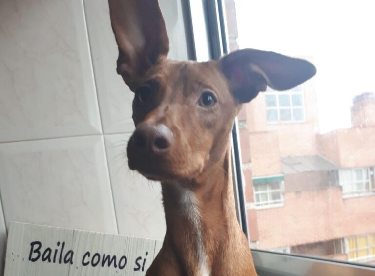 multimedia-foto47430-40-3