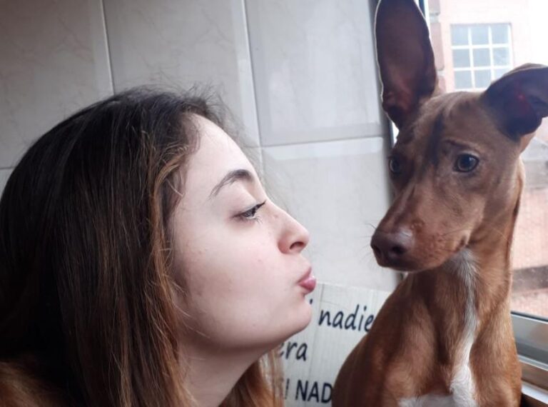 multimedia-foto47431-40-3