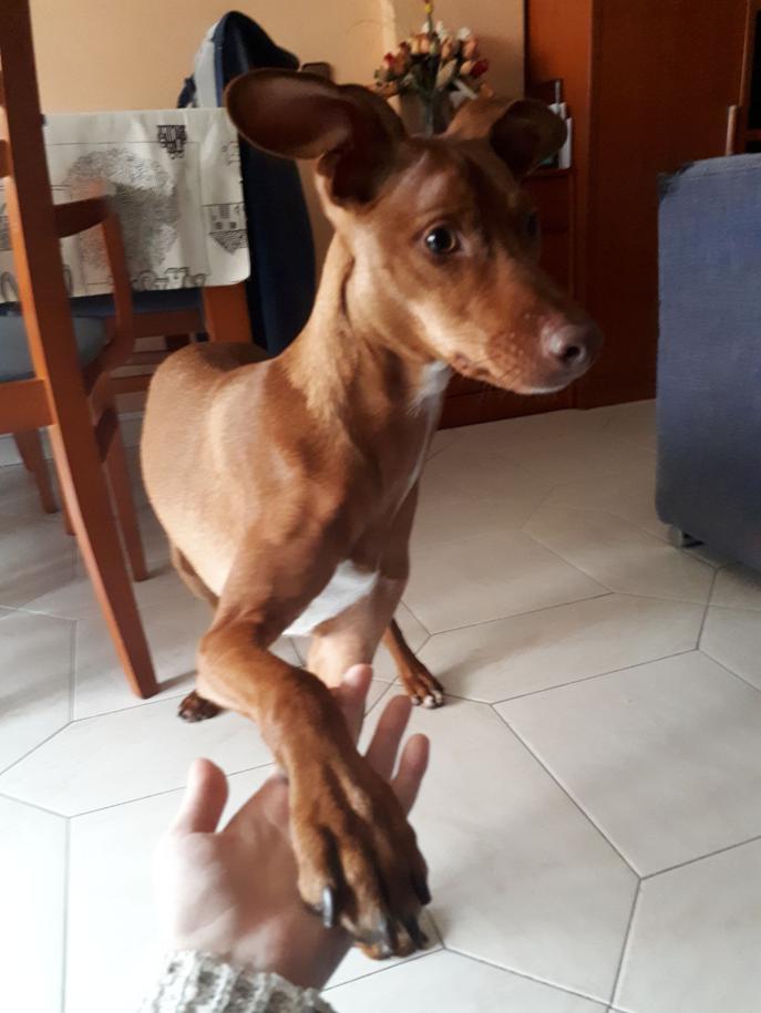 multimedia-foto47435-81-3