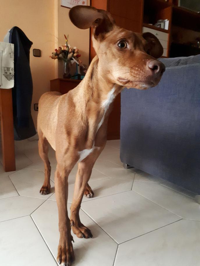 multimedia-foto47436-81-3