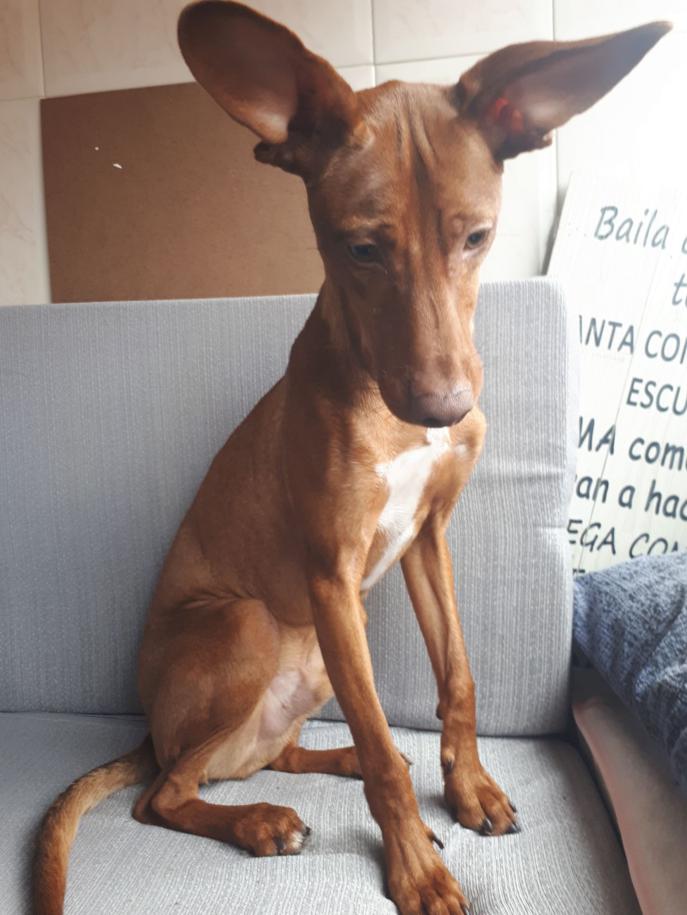 multimedia-foto47437-81-3