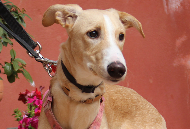 multimedia-foto47459-38-3