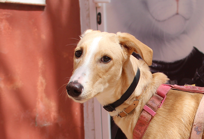 multimedia-foto47460-38-3