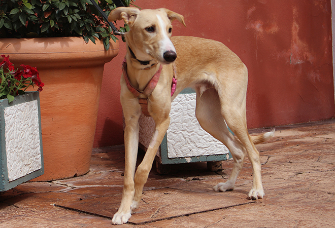 multimedia-foto47462-38-3