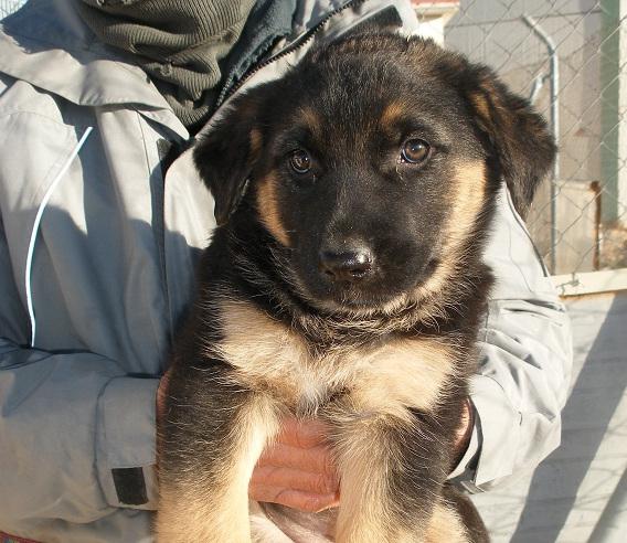 multimedia-foto47538-785-1