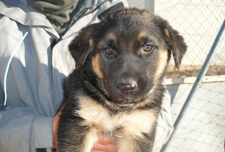 multimedia-foto47539-785-1