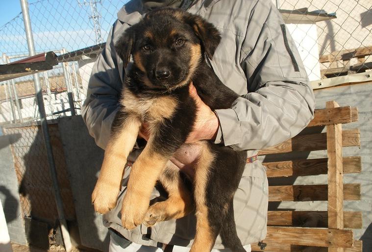 multimedia-foto47540-786-1