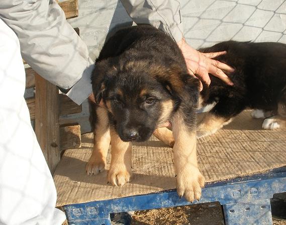 multimedia-foto47541-786-1