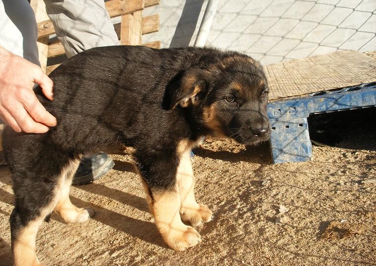 multimedia-foto47542-786-1