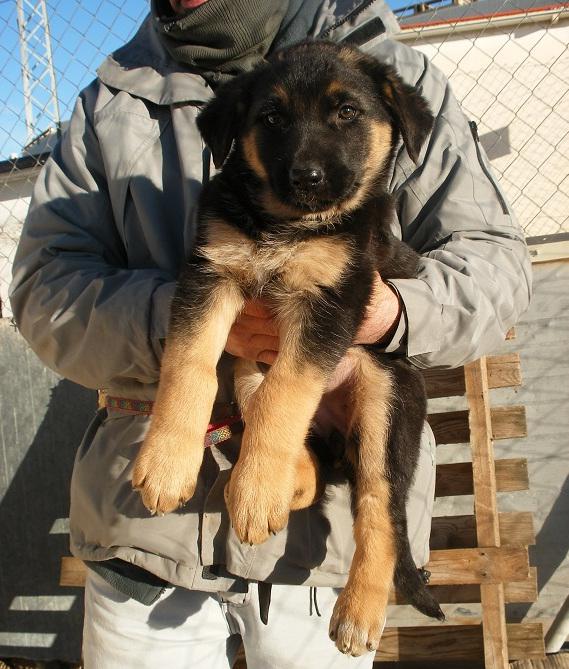 multimedia-foto47543-786-1