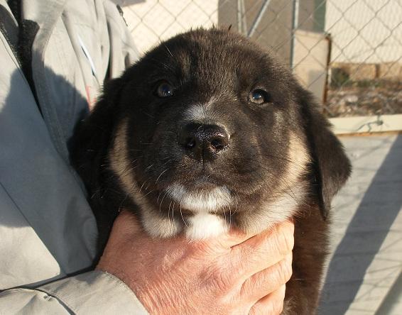 multimedia-foto47544-840-1