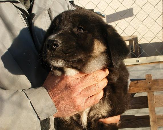 multimedia-foto47545-840-1