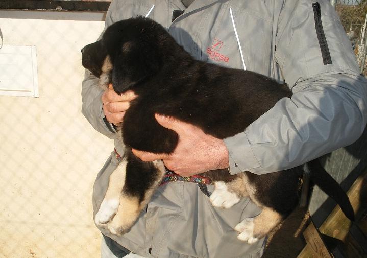 multimedia-foto47546-840-1