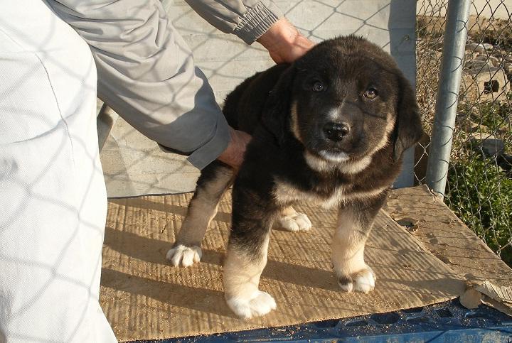 multimedia-foto47547-841-1