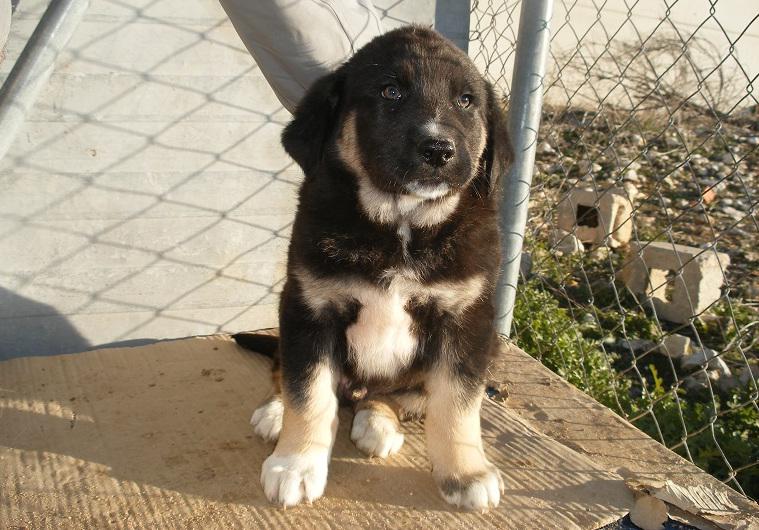 multimedia-foto47548-841-1